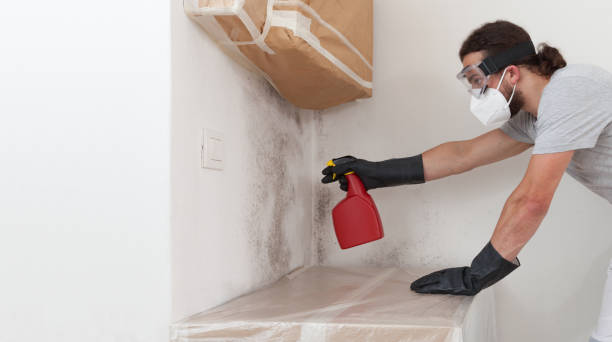 Professional Bathroom Mold Removal technician working in Oakland, OR