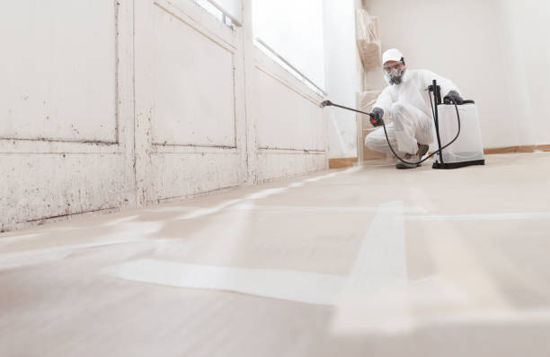 24/7 Emergency Bathroom Mold Removal experts in Oakland, OR