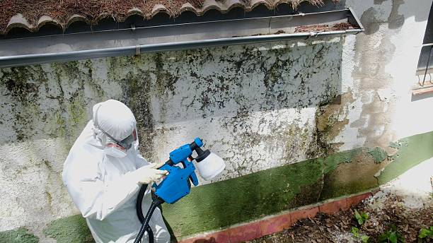 Top rated local Bathroom Mold Removal specialists in Oakland, OR